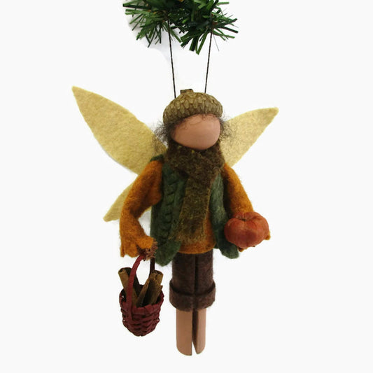 Autumn Fairy Boy